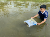 Trường Cao đẳng Nông nghiệp Thanh Hóa xây dựng mô hình "Nuôi luân canh tôm Càng Xanh - Lúa theo hướng hữu cơ".