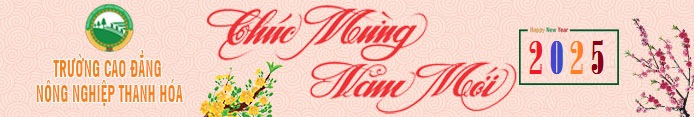 banner chuc mung nam moi